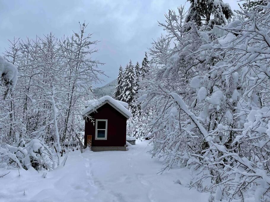 Cozy Tiny Home Steps Away From Mt. Rainier Ashford Exterior foto