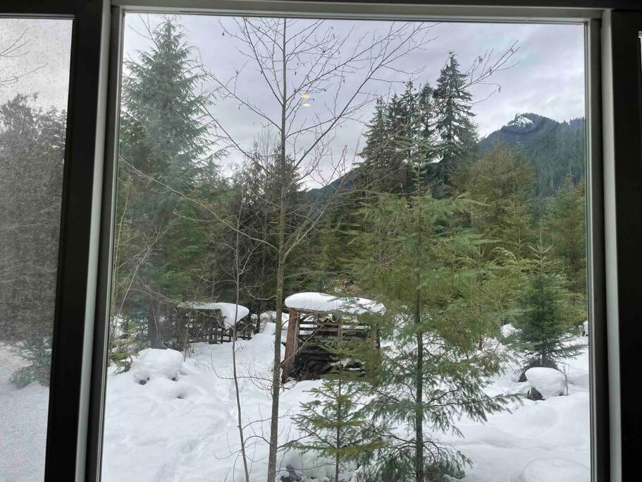 Cozy Tiny Home Steps Away From Mt. Rainier Ashford Exterior foto